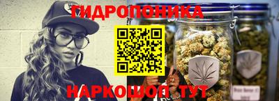 прущие грибы Вязники