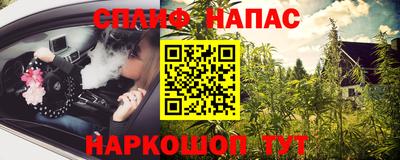 прущие грибы Вязники