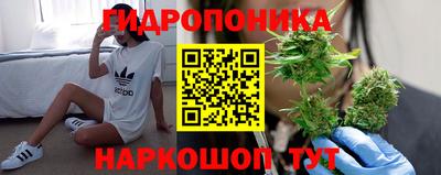прущие грибы Вязники