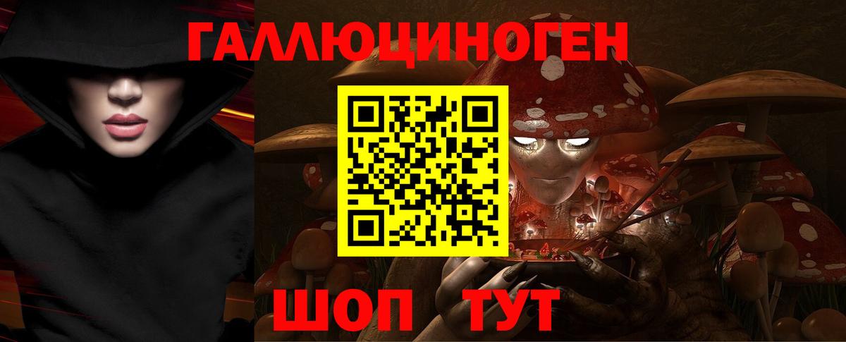 Алейск  Галлюциногенные грибы Psilocybine cubensis  Вход с VPN 